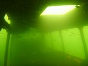 Test aparatw podwodnych 2015 - Panasonic LUMIX FT30