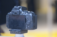 Nikon Nikkor AF-P DX 70-300 mm f/4.5-6.3G ED VR - zdjcia przykadowe