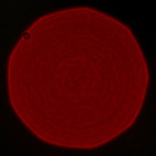 Carl Zeiss Batis 40 mm f/2 CF  - Aberracja chromatyczna i sferyczna