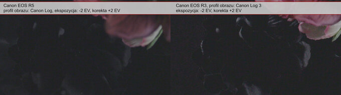 Canon EOS R3 - test trybu filmowego - Uytkowanie