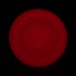 Sigma A 20 mm f/1.4 DG DN - Aberracja chromatyczna i sferyczna