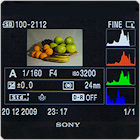 Wykorzystanie trybu seryjnego i autofokusu - Fotoszkoa Sony: Lekcja 5