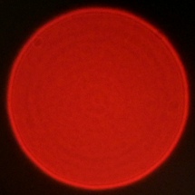 Venus Optics LAOWA Argus 28 mm f/1.2 FF - Koma, astygmatyzm i bokeh