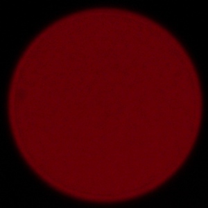 Sigma S 500 mm f/5.6 DG DN OS - Aberracja chromatyczna i sferyczna