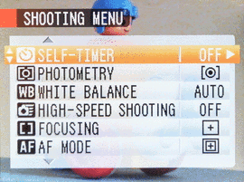 Test tanich megazoomw - Fujifilm FinePix S2500HD - test aparatu