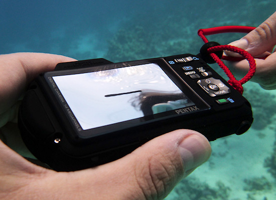 Test aparatw podwodnych 2011 - Pentax Optio WG-1