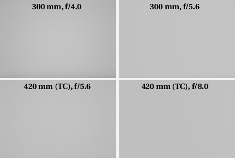 Canon EF 300 mm f/4L IS USM - Winietowanie
