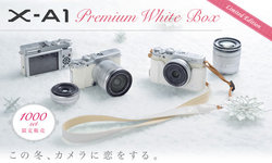 Biay Fujifilm X-A1