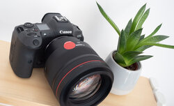 Canon EOS R5 w zastosowaniach fotograficznych