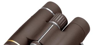Leupold Golden Ring 10x42