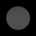 Carl Zeiss Terra ED 8x42 - Winietowanie centralne - Prawy