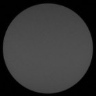 Carl Zeiss Victory HT 8x54 - Winietowanie centralne - Prawy
