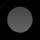 Delta Optical Forest 10x42 Gen3 - Winietowanie centralne - Prawy