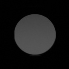 Pentax SD 10x42 ED - Winietowanie centralne - Lewy