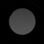 Pentax SD 10x42 ED - Winietowanie centralne - Prawy