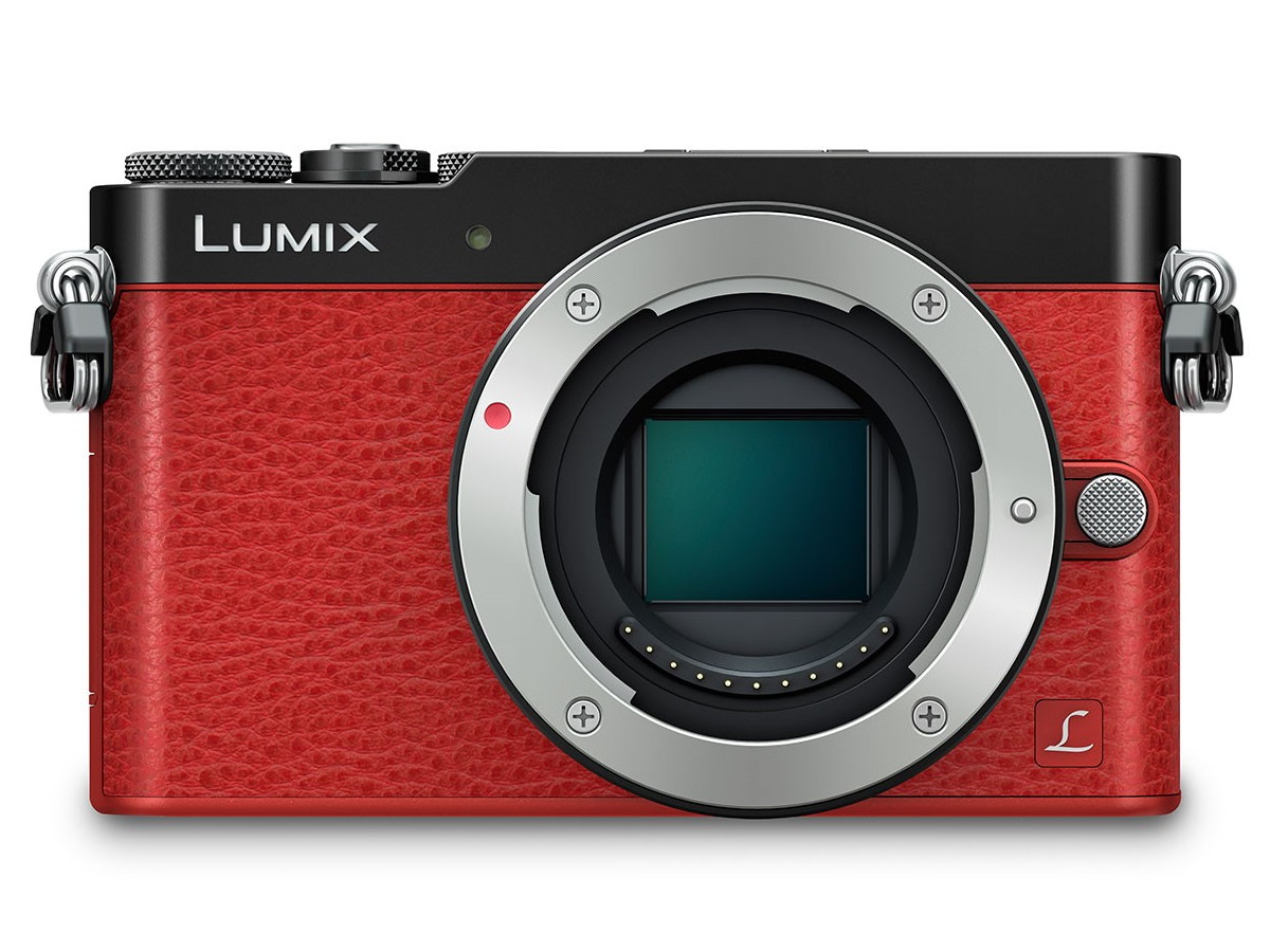 Panasonic Lumix DMC-GM5 - Optyczne.pl