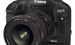 Canon EOS 1D Mark III - test cyfrowej lustrzanki