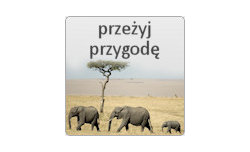 Konkurs - ostatnia szansa aby wygra wyjazd do Kenii