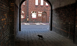 Nikiszowiec - wystawa fotografii
