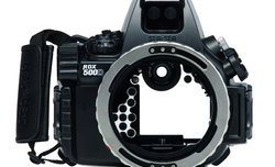 Sea and Sea RDX-500D