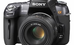 Sony Alpha A550 - pierwsze zdjcia