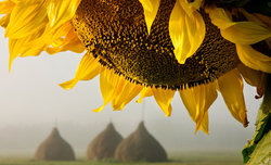 Podr�e z fotografi� 2009