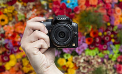 Panasonic G3 - zdjcia przykadowe i pierwsze wraenia