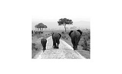 Relacja z Fotomisji na Zanzibarze i w Tanzanii