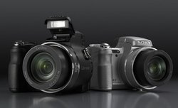 15x optyczny zoom, 12.1-megapikselowa matryca CCD, czyli nowoci od Sony