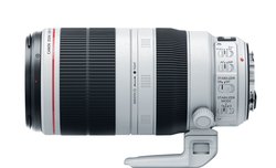 Canon EF 100-400 mm f/4.5-5.6L IS II USM - zdjcia przykadowe