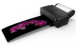 Epson SureColor SC-P800