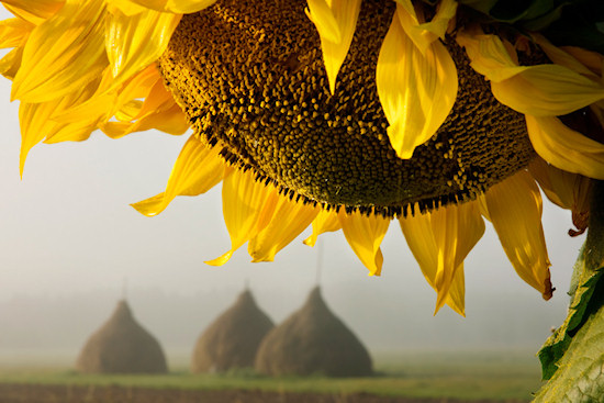 Podr�e z fotografi� 2009