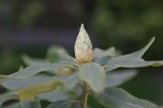 Sigma 24-60 mm f/2.8 EX DG - Podsumowanie