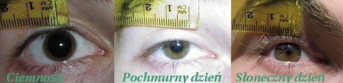 Test nr 3 - Lornetki na cenzurowanym - Wnioski Test nr 3 - Lornetki na cenzurowanym - Wnioski