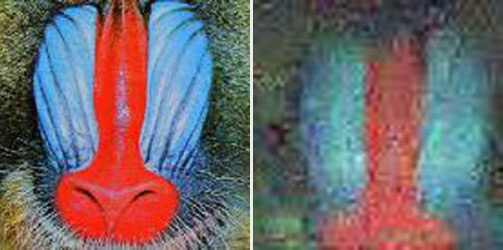 Ma�y du�o mo�e - fotografowanie 1 pix