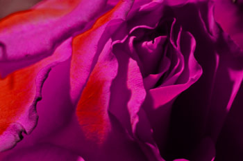 Warsztaty Sigma - edycja kwiecie� 2007