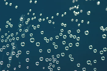 Warsztaty Sigma - edycja kwiecie� 2007