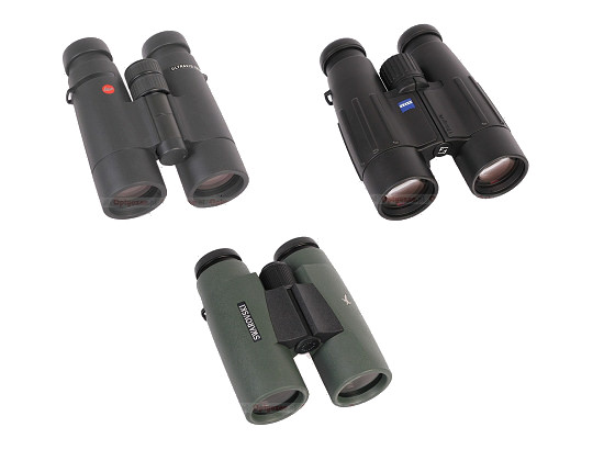 Test lornetek 10x42 - wielki finał! Test lornetek 10x42 - wielki finał!