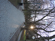 Zdjcie przykadowe nr: 9
