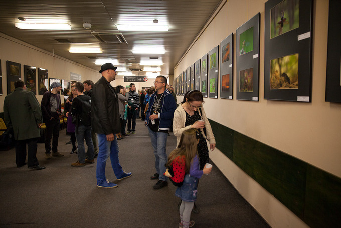 Poznaskie Dni Fotografii - fotorelacja