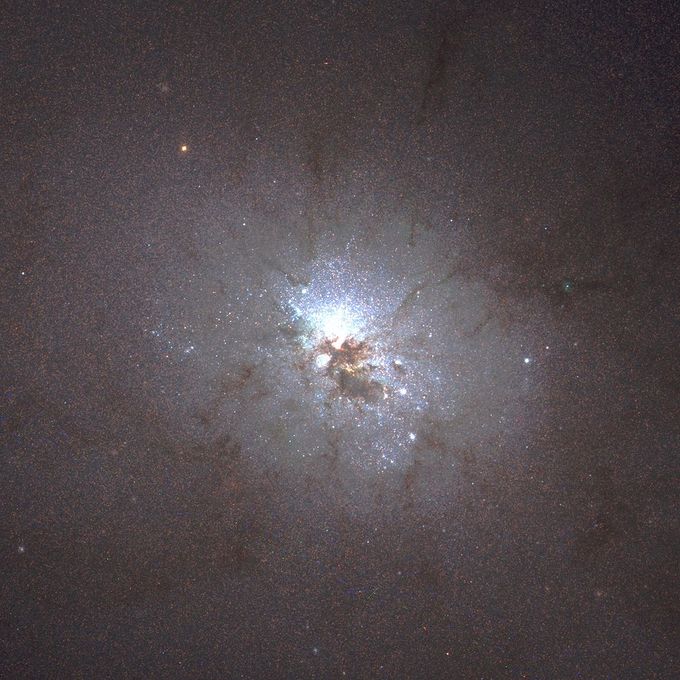 Niebo przez lornetk - M81 i M82 - M81, M82 i co jeszcze...