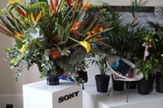  Sony SLT-A77 II - przykadowe zdjcia