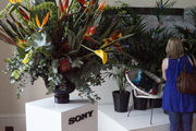  Sony SLT-A77 II - przykadowe zdjcia