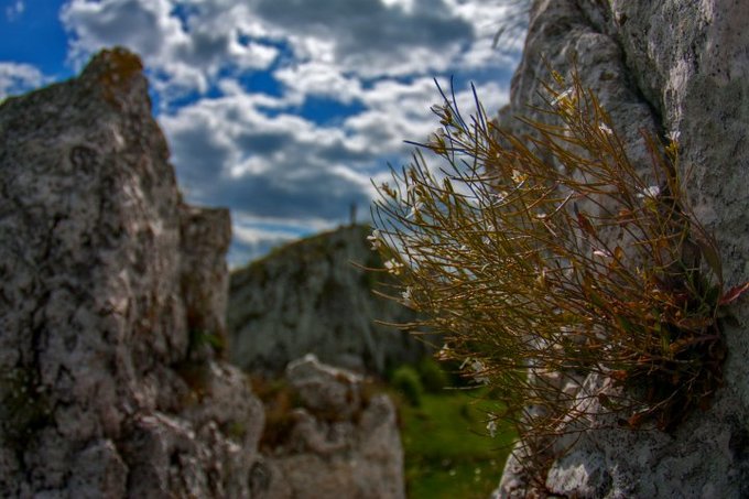 Tokina i Hoya zapraszaj na plenerowe warsztaty fotograficzne