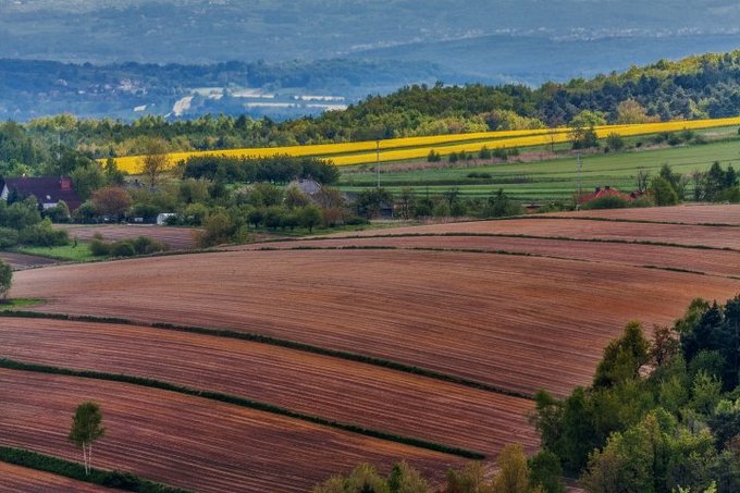 Tokina i Hoya zapraszaj na plenerowe warsztaty fotograficzne