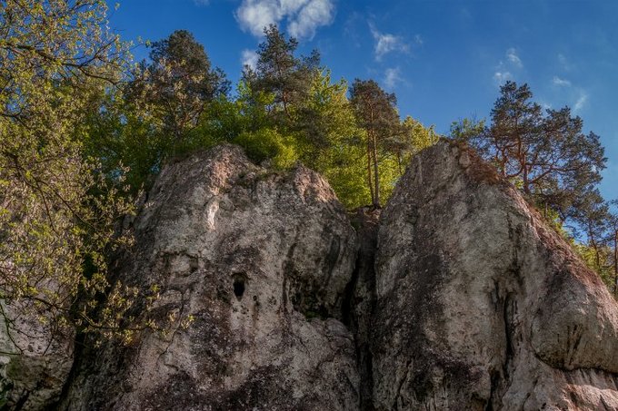 Tokina i Hoya zapraszaj na plenerowe warsztaty fotograficzne