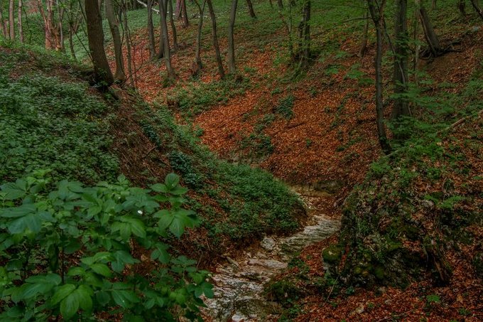 Tokina i Hoya zapraszaj na plenerowe warsztaty fotograficzne