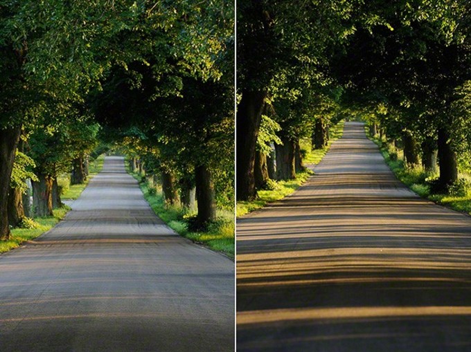 Jak nie popeni fotograficznych bdw? 10 rad od Akademii Nikona