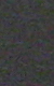 Leica M9 - Jako obrazu JPEG