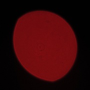 Nikon Nikkor AF-S 300 mm f/4E PF ED VR - Koma, astygmatyzm i bokeh
